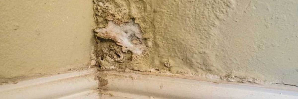 What Causes Condensation on Walls in a Home?